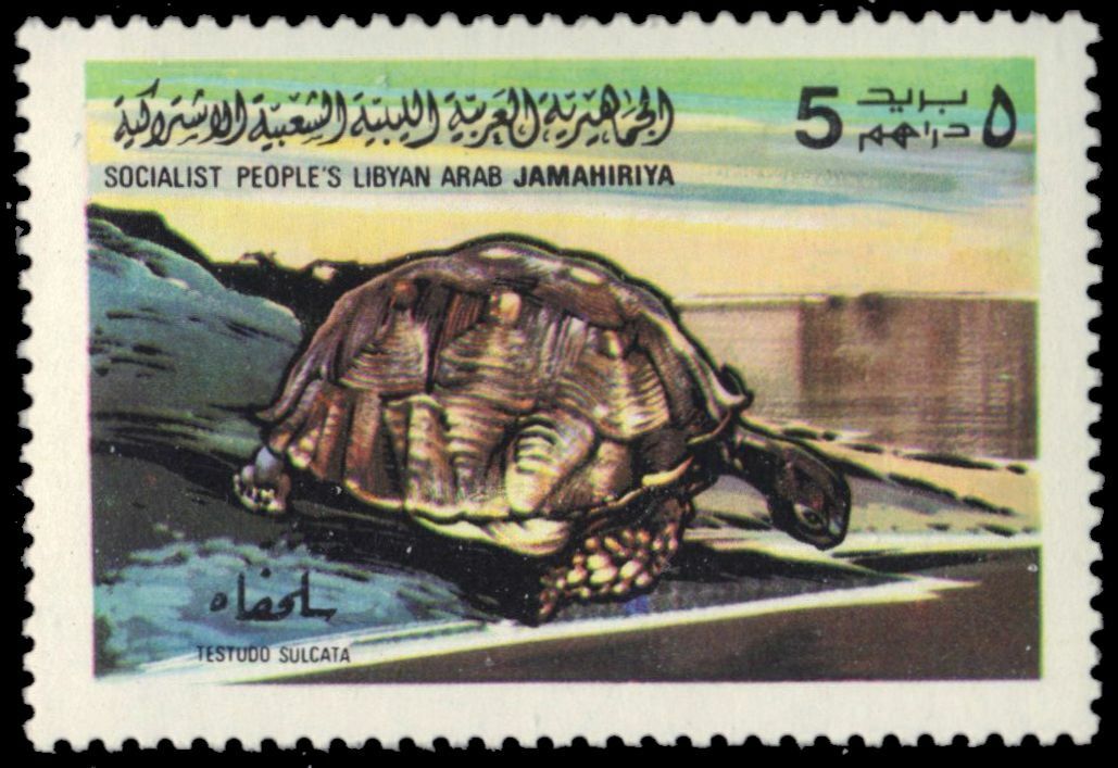 Libya 797 - African Wildlife "radiated Tortoise" (pb44644)